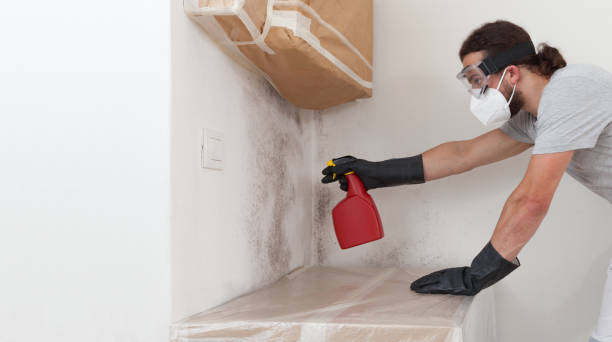 Professional Attic Mold Remediation technician working in Stratford, NJ