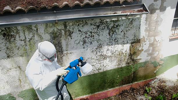 Top rated local Attic Mold Remediation specialists in Stratford, NJ